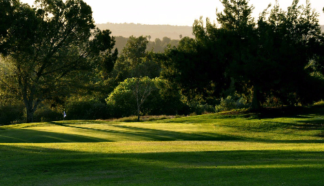 View of Golf course with trees