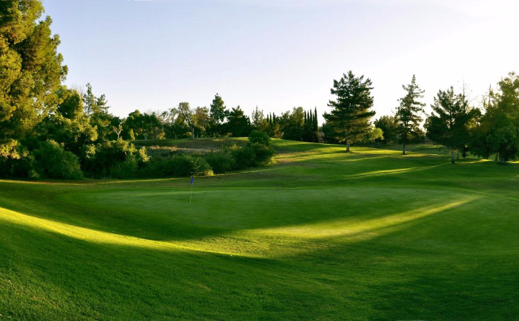 View of Golf Course green