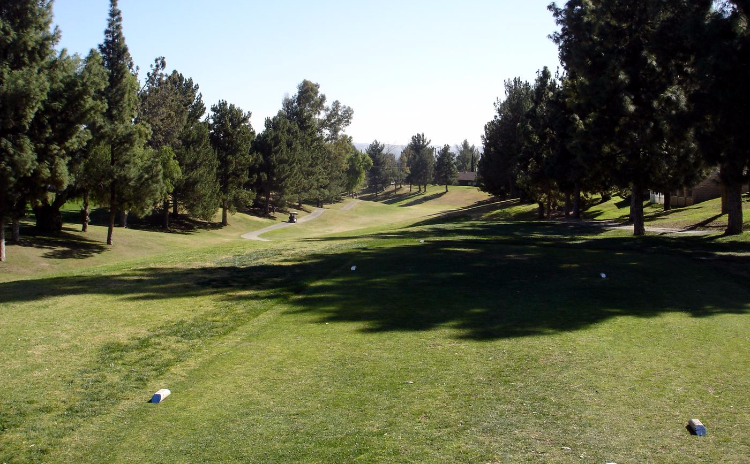 Golf course with trees