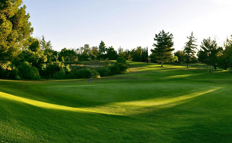 Golf course with sunlight peeking onto green